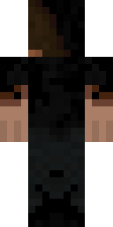 Задняя часть скина игрока Fortany