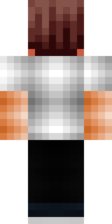 Задняя часть скина игрока Foryt_YT