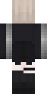 Задняя часть скина игрока Friesta