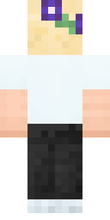 Задняя часть скина игрока FunnySmail