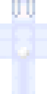 Задняя часть скина игрока GUSAK_BLET