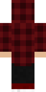 Задняя часть скина игрока GoodJonni