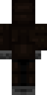 Задняя часть скина игрока H2W