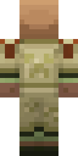 Задняя часть скина игрока HANAX