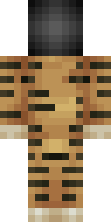 Задняя часть скина игрока HackerVimer8888