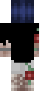 Задняя часть скина игрока Hakinro