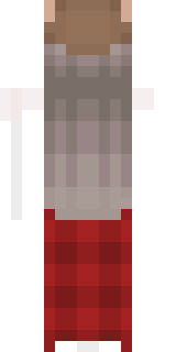 Задняя часть скина игрока Happy_karton