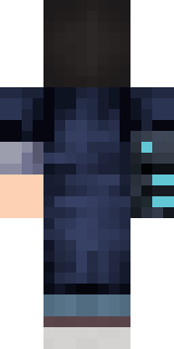 Задняя часть скина игрока Hauk3