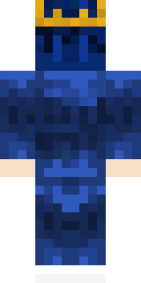 Задняя часть скина игрока HavensLT_YT