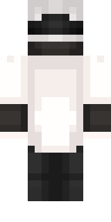 Задняя часть скина игрока HenryTheDev