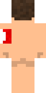 Задняя часть скина игрока Hentleman