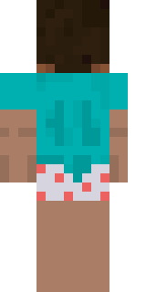 Задняя часть скина игрока Hevin0