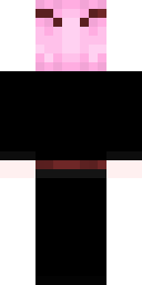 Задняя часть скина игрока Hirtissi