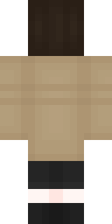 Задняя часть скина игрока HollywoooD