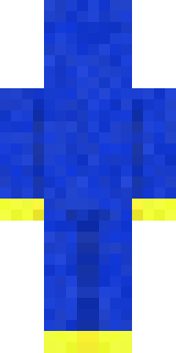 Задняя часть скина игрока HoyHeyM