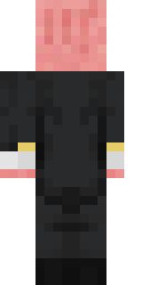 Задняя часть скина игрока IIImEl234