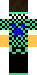 Задняя часть скина игрока KelrusVime