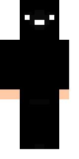 Задняя часть скина игрока KoShOlT25