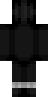 Задняя часть скина игрока Kwestor