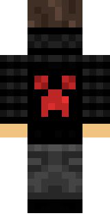 Задняя часть скина игрока Laibrin_YT