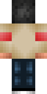 Задняя часть скина игрока Latrodectus