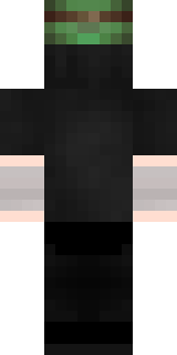 Задняя часть скина игрока Leg1tFairy