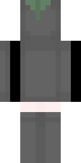 Задняя часть скина игрока Lihowenterta