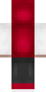 Задняя часть скина игрока LionTGaming