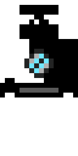 Задняя часть скина игрока Loh_Pider