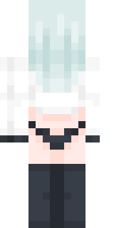 Задняя часть скина игрока MEGAGAMER1337228