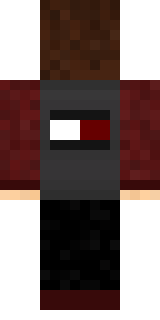 Задняя часть скина игрока Martin_liyter