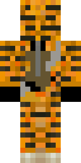 Задняя часть скина игрока MarttiniX