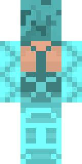 Задняя часть скина игрока Maxxxxxxximus