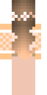 Задняя часть скина игрока McVanek_YT