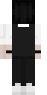 Задняя часть скина игрока Metelicza