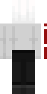 Задняя часть скина игрока Misheko