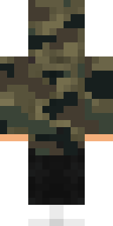 Задняя часть скина игрока MrAlexInYT