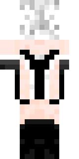 Задняя часть скина игрока MrDANCHES