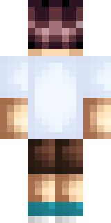 Задняя часть скина игрока MrDiamondSS