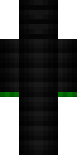 Задняя часть скина игрока MrEmGamer338