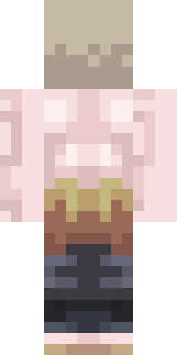 Задняя часть скина игрока MrFarmin