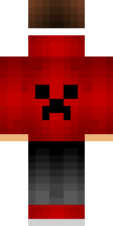 Задняя часть скина игрока MrOgnin