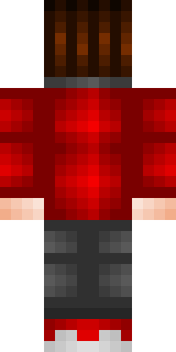 Задняя часть скина игрока MrSal_Kin