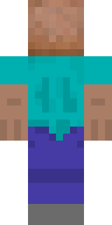 Задняя часть скина игрока MrSuIR