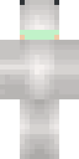 Задняя часть скина игрока Mubasa