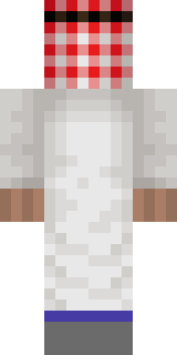 Задняя часть скина игрока MyPrivateDns