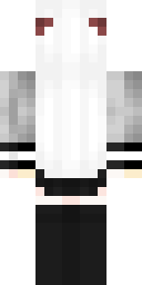 Задняя часть скина игрока NeG0Dn1K