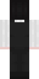 Задняя часть скина игрока NegVi