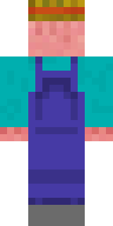 Задняя часть скина игрока Nikishmyk