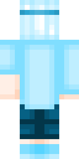 Задняя часть скина игрока NikitaFlay